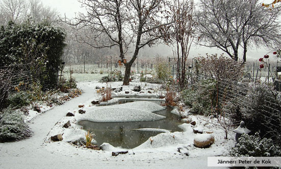 2009-11-19 Siegerehrung Fotowettbewerb 2009
 09fotoWB_DSC_0027.jpg