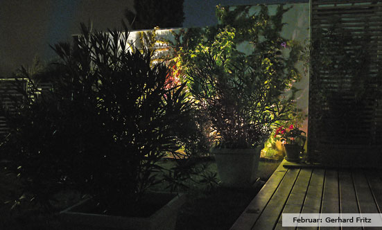 2009-11-19 Siegerehrung Fotowettbewerb 2009
 09fotoWB_DSC_0028.jpg