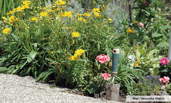 2009-11-19 Siegerehrung Fotowettbewerb 2009
 09fotoWB_DSC_0031.jpg