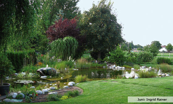 2009-11-19 Siegerehrung Fotowettbewerb 2009
 09fotoWB_DSC_0032.jpg