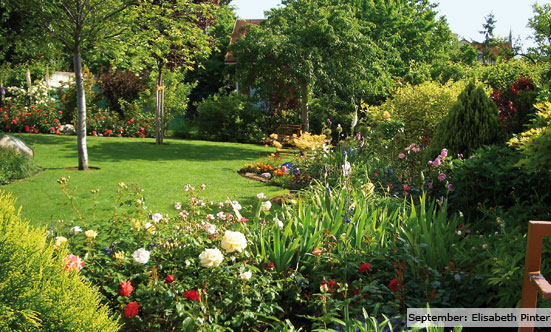 2009-11-19 Siegerehrung Fotowettbewerb 2009
 09fotoWB_DSC_0035.jpg