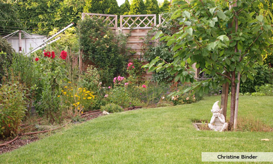 2009-11-19 Siegerehrung Fotowettbewerb 2009
 09fotoWB_DSC_0050.jpg