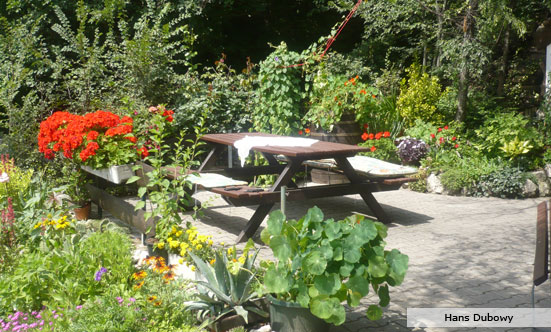 2009-11-19 Siegerehrung Fotowettbewerb 2009
 09fotoWB_DSC_0051.jpg