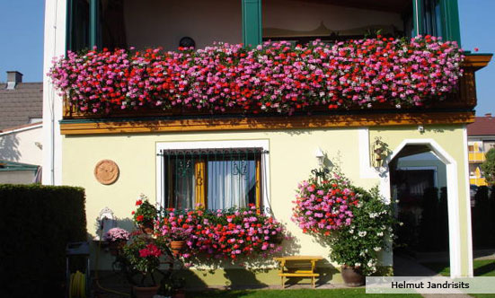 2009-11-19 Siegerehrung Fotowettbewerb 2009
 09fotoWB_DSC_0057.jpg