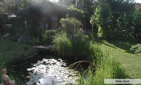 2009-11-19 Siegerehrung Fotowettbewerb 2009
 09fotoWB_DSC_0059.jpg