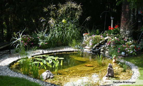 2009-11-19 Siegerehrung Fotowettbewerb 2009
 09fotoWB_DSC_0063.jpg