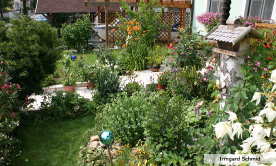 2009-11-19 Siegerehrung Fotowettbewerb 2009
 09fotoWB_DSC_0064.jpg