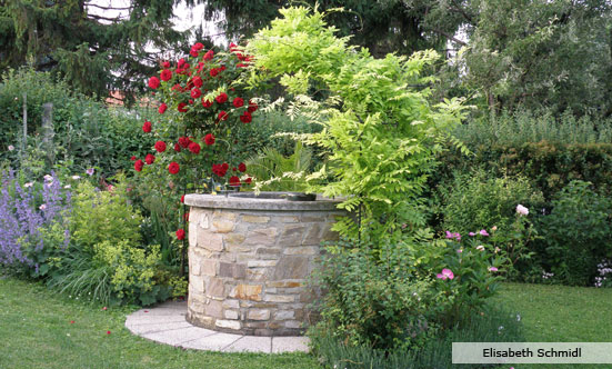 2009-11-19 Siegerehrung Fotowettbewerb 2009
 09fotoWB_DSC_0065.jpg