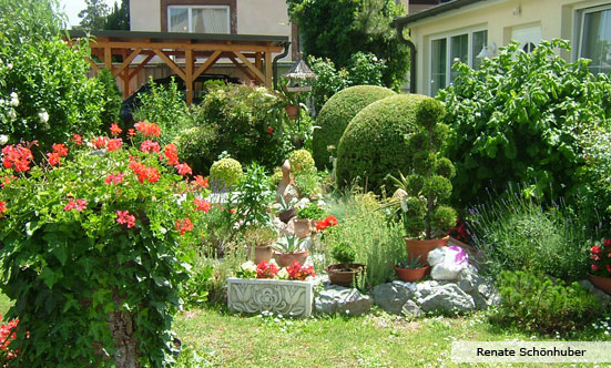 2009-11-19 Siegerehrung Fotowettbewerb 2009
 09fotoWB_DSC_0066.jpg