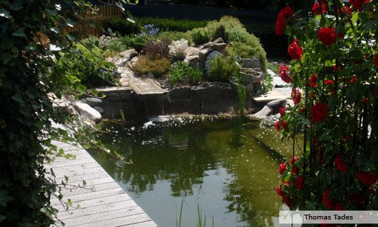 2009-11-19 Siegerehrung Fotowettbewerb 2009
 09fotoWB_DSC_0067.jpg