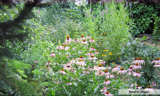 2009-11-19 Siegerehrung Fotowettbewerb 2009
 09fotoWB_DSC_0068.jpg