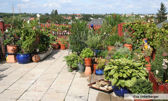 2009-11-19 Siegerehrung Fotowettbewerb 2009
 09fotoWB_DSC_0069.jpg