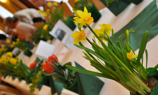 2013-03-21 Frhlingsfest
 13fruehlingsfest_DSC_0065.jpg