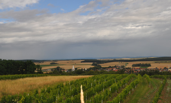 2014-07-08 Erlebnis-Zeltcamp in Lutzmannsburg
 14ZL_Lutzmannsburg-2014-084.jpg