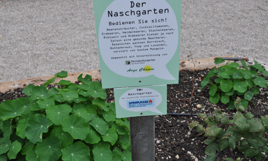 2015-09-26 Wies`n Fest zur Rathausplatz-Erffnung
 15WiesnGaudi_DSC_0306.jpg