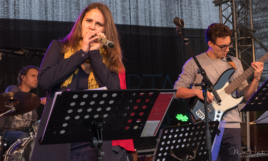 2017-09-23 2. Guntramsdorfer Dorffest
 17Dorffest_Nitsch_39.jpg