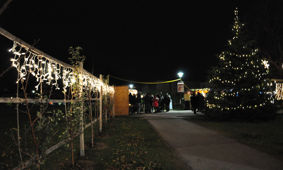 Adventzauber am Rathausplatz
 18Adventzauber_DSC_0354.jpg