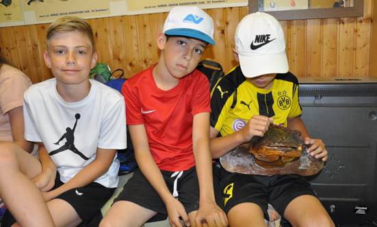 2019-06-25 Schulsporttage in der Volksschule II
 19VSIIVereine_DSC_0115.jpg