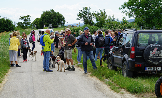 2022-05-28 Weinbltenwanderung
 22weinblueten_DSC01735.jpg