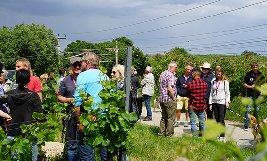 2022-05-28 Weinbltenwanderung
 22weinblueten_DSC01743.jpg