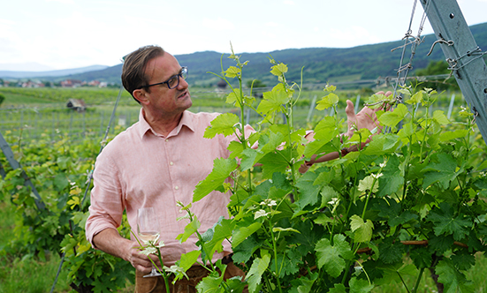 2022-05-28 Weinbltenwanderung
 22weinblueten_DSC01755.jpg