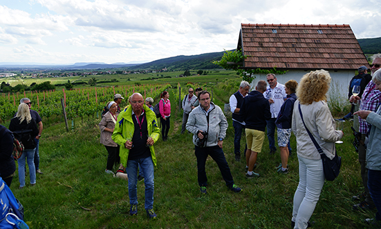 2022-05-28 Weinbltenwanderung
 22weinblueten_DSC01781.jpg