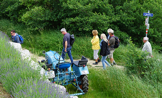 2022-05-28 Weinbltenwanderung
 22weinblueten_DSC01782.jpg