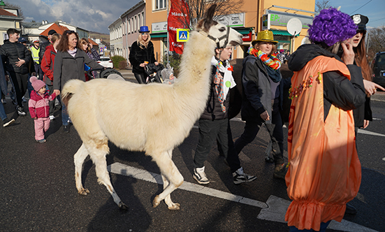 2024-02-13 Faschingdienstag vor dem Rathaus
 24fasching_DSC09473.jpg