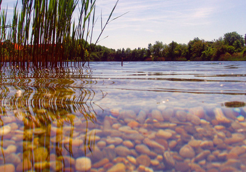 NATÜRLICH SCHÖN: unsere Wasser- und Wanderwelt. Foto Teich