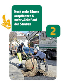 2. Noch mehr Bäume auspflanzen